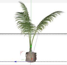 C4D模型 绿色植物