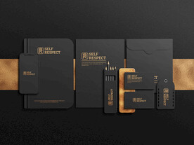 高级质感LOGO样机