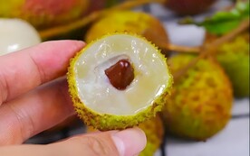 荔枝