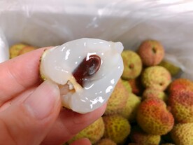 荔枝