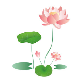 荷花素材