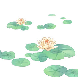 荷花素材