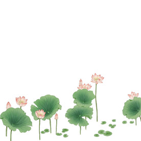 荷花素材