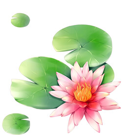荷花素材