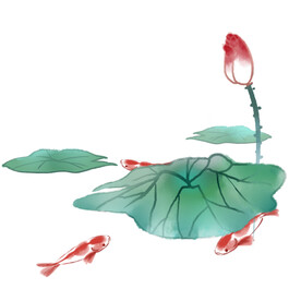 荷花素材