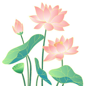 荷花素材