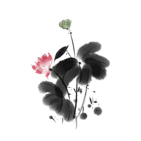 荷花素材