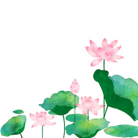 荷花素材