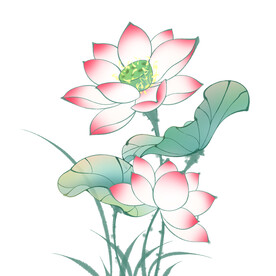 荷花素材