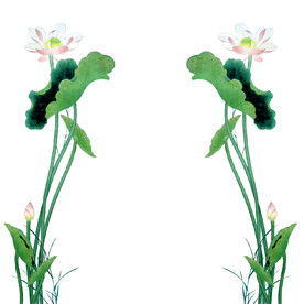 荷花素材