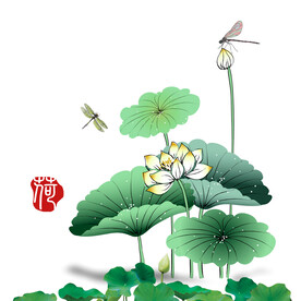 荷花素材