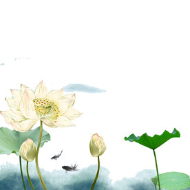 荷花素材