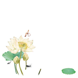 荷花素材