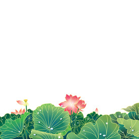 荷花素材