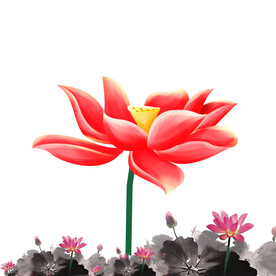 荷花素材