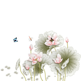 荷花素材