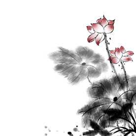 荷花素材