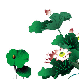 荷花素材