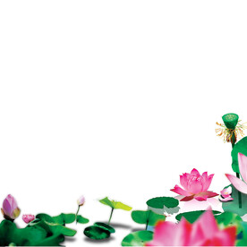 荷花素材