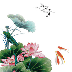 荷花素材