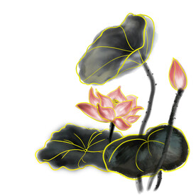 荷花素材
