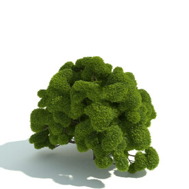 C4D模型 绿色植物