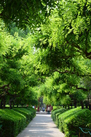 公园风景  