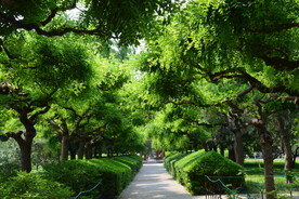 公园风景  