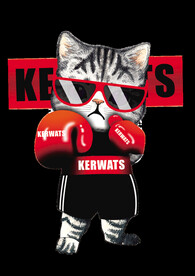 卡通拳击猫图片