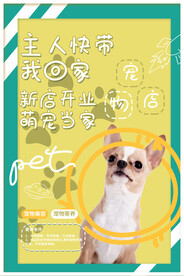 宠物海报