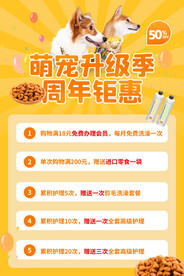 宠物海报