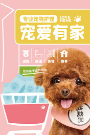 宠物海报