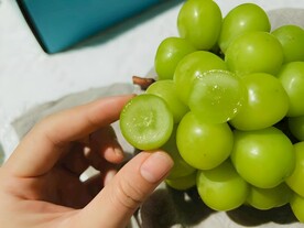 葡萄