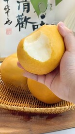 雪梨