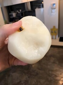 雪梨