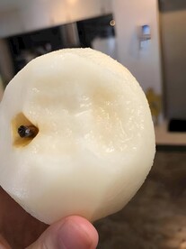 雪梨