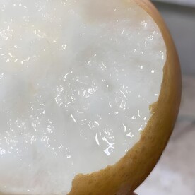 雪梨