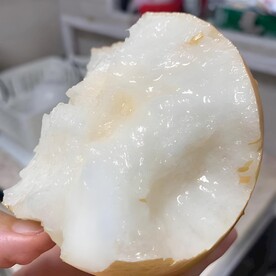 雪梨