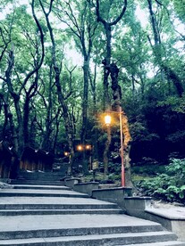 普陀岛禅寺石路