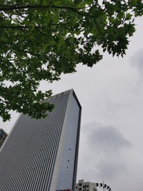 城市大楼