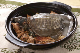 甲鱼煲