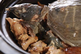甲鱼煲