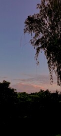 美景   