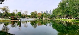 湖水 