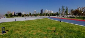 草坪  