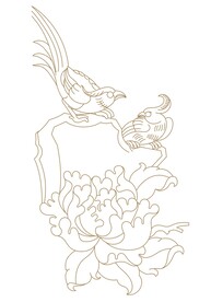 牡丹花鸟插画线条印花白描