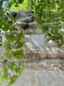 报国寺绿植古碑