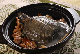 甲鱼煲