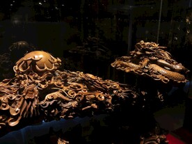 紫檀博物馆藏品