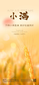 小满 芒种 节气海报